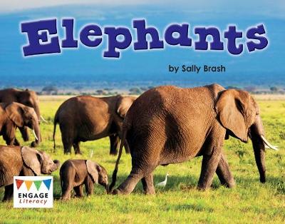 Cover of Elephants