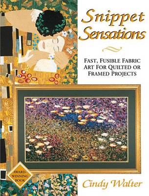 Book cover for More Snippet Sensations