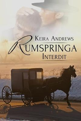 Book cover for Rumspringa Interdit