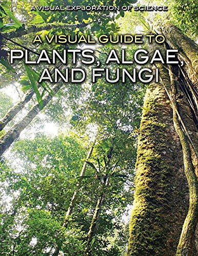 Cover of A Visual Guide to Plants, Algae, and Fungi