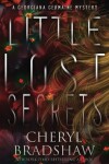 Book cover for Little Lost Secrets