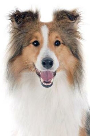 Cover of Shetland Sheepdog Notebook