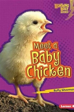 Cover of Meet a Baby Chicken