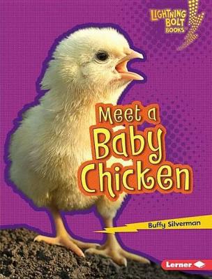 Cover of Meet a Baby Chicken