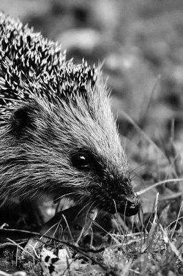 Book cover for Hannah the Hedgehog Hanging Out Notebook