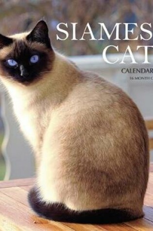 Cover of Siamese Cats Calendar 2019