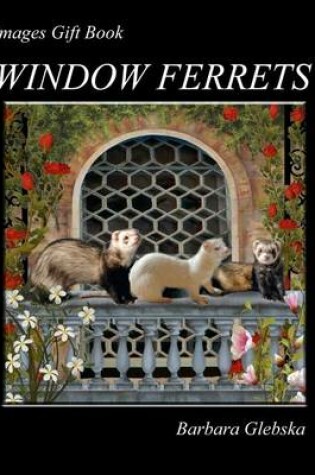 Cover of Window Ferrets