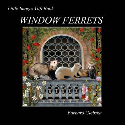 Book cover for Window Ferrets