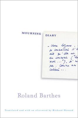 Book cover for Mourning Diary