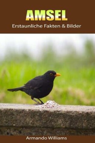 Cover of Amsel