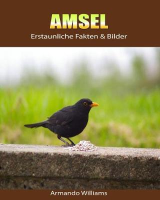 Book cover for Amsel