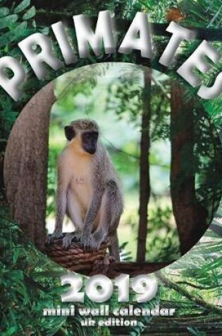 Cover of Primates 2019 Mini Wall Calendar (UK Edition)