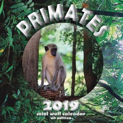 Book cover for Primates 2019 Mini Wall Calendar (UK Edition)