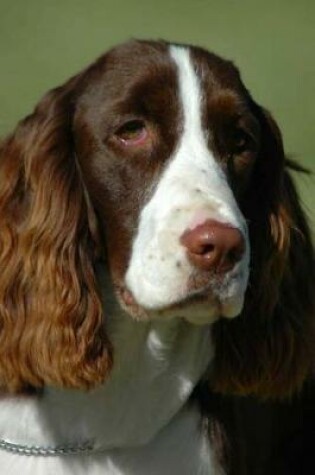 Cover of The English Springer Spaniel Dog Journal