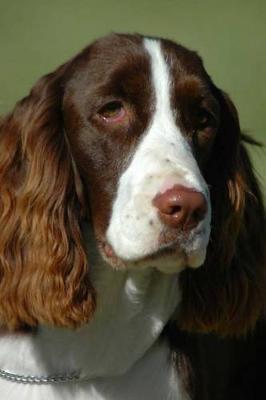 Book cover for The English Springer Spaniel Dog Journal