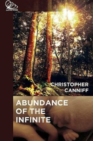 Cover of The Abundance of the Infinite
