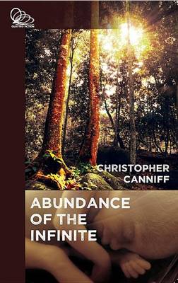 Book cover for The Abundance of the Infinite