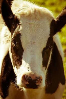 Book cover for Brown and White Cow in the Meadow Journal