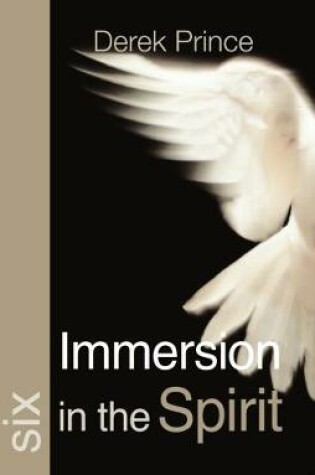 Cover of Immersion in the Spirit