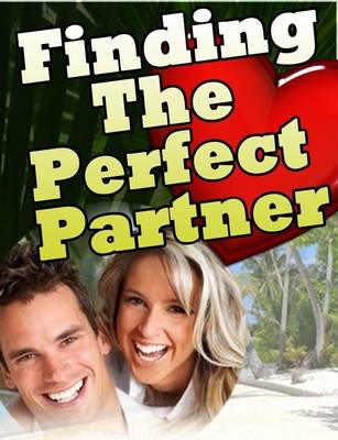 Book cover for Finding The Perfect Partner