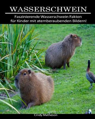 Book cover for Wasserschwein