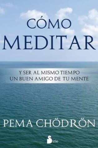Cover of Como Meditar