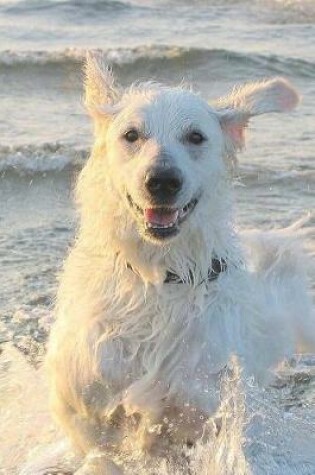 Cover of White Dog Playing in the Surf Pet Journal