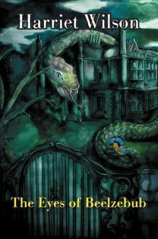 Cover of The Eyes of Beelzebub