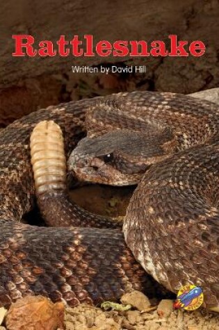 Cover of Rattlesnake