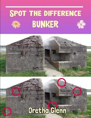 Book cover for Spot the difference Bunker