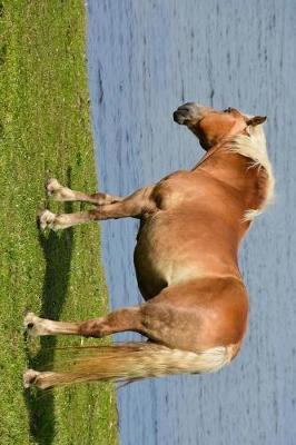 Book cover for Haflinger Horse Standing by the Water Journal