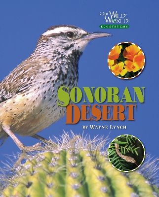 Book cover for The Sonoran Desert