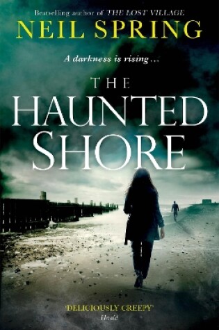 Cover of The Haunted Shore