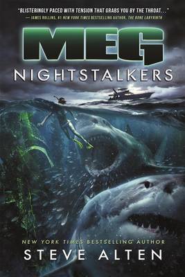 Cover of Nightstalkers