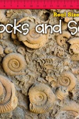 Cover of Rocks and Soil