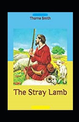 Book cover for The Stray Lamb annotated