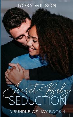 Book cover for Secret Baby Seduction