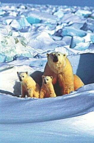 Cover of Polar Bear Mom & Baby Bears