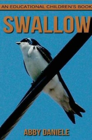 Cover of Swallow! An Educational Children's Book about Swallow with Fun Facts & Photos