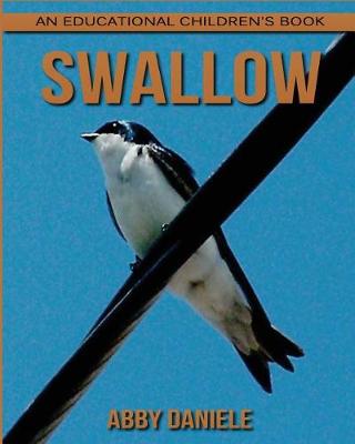Book cover for Swallow! An Educational Children's Book about Swallow with Fun Facts & Photos