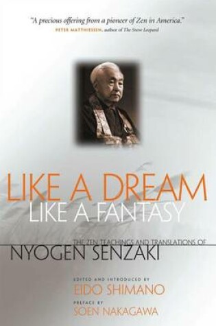 Cover of Like a Dream, Like a Fantasy