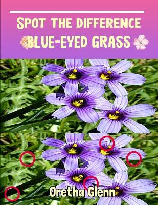 Book cover for Spot the difference Blue-Eyed Grass