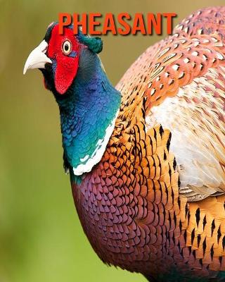 Book cover for Pheasant