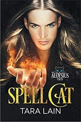 Book cover for Spell Cat