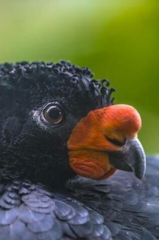 Cover of Wattled Currasow Bird Journal