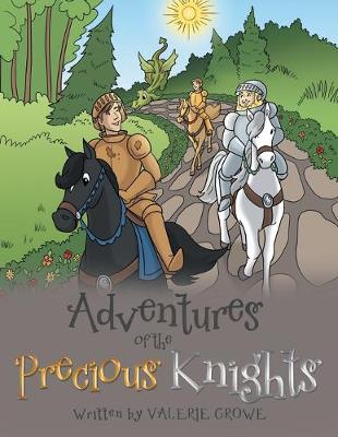 Book cover for Adventures of the Precious Knights