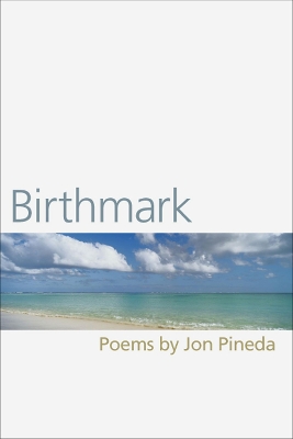 Book cover for Birthmark