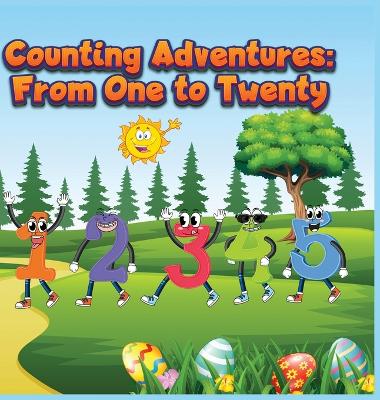 Book cover for Counting Adventures