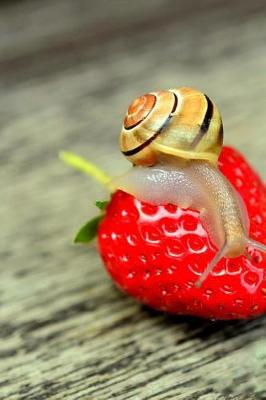 Book cover for A Snail on a Strawberry Journal