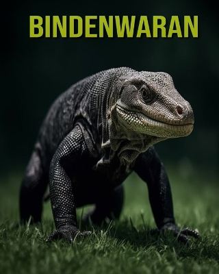 Book cover for Bindenwaran